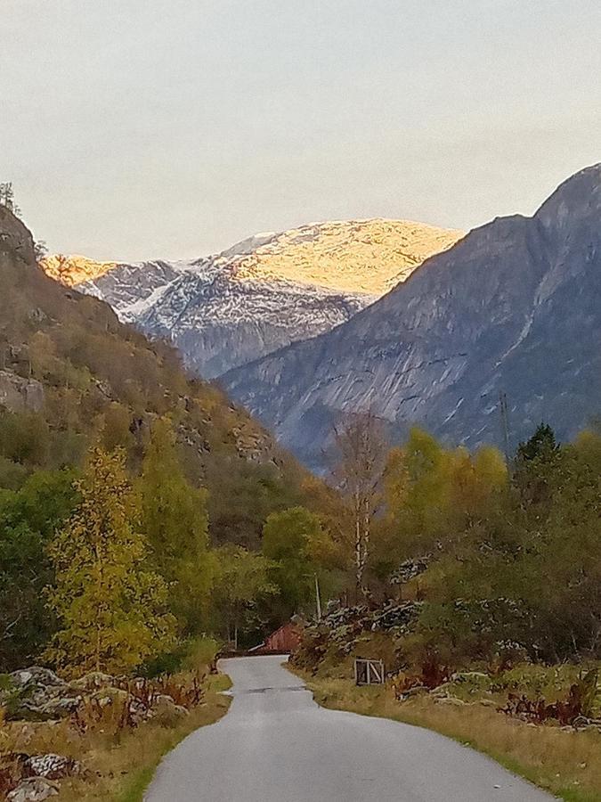 Mallabu Eidfjord Bagian luar foto